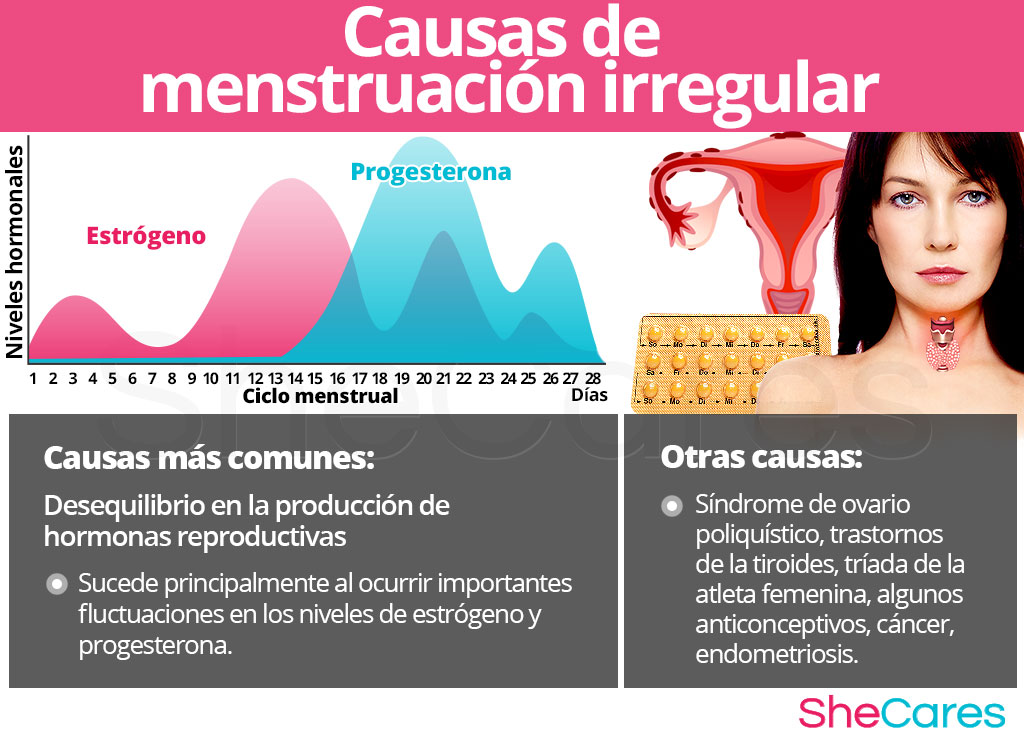 Menstruaci N Irregular Shecares