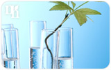 What's in a Name - Bioidentical Hormones