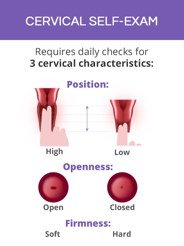 cervical self exam