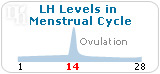 LH levels in menstrual cycle