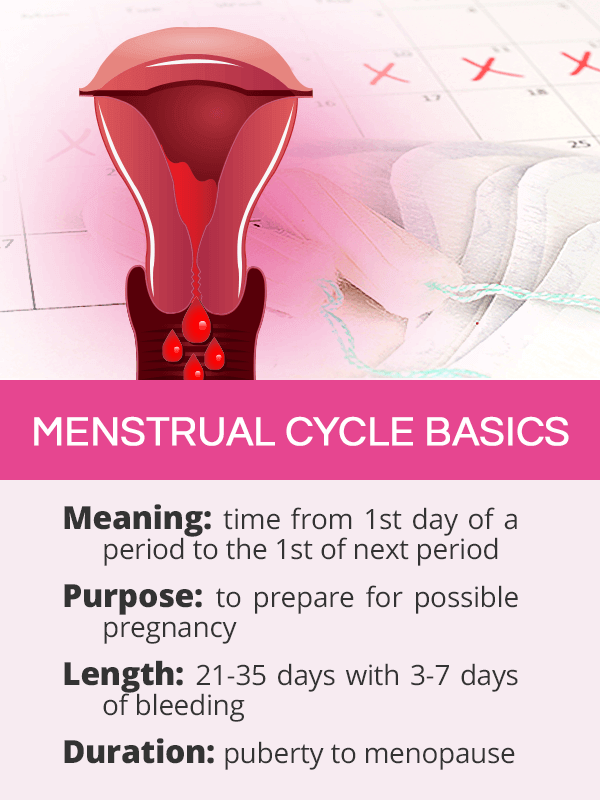 What's a normal menstrual cycle? - FUTURE WOMAN