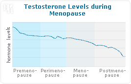 Testosterone levels during menopause