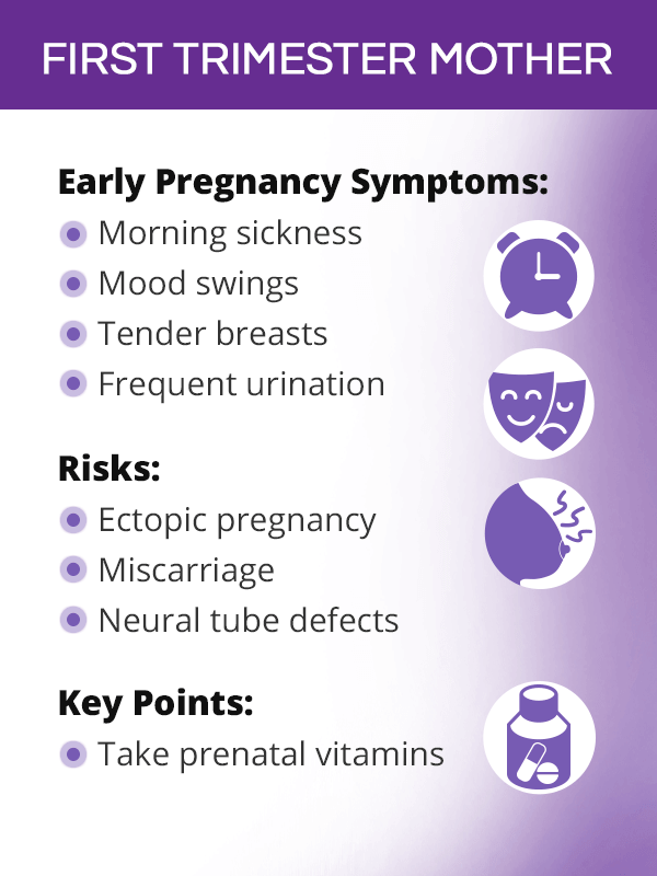 First Trimester Pregnancy