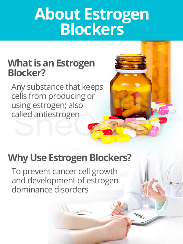 About Estrogen Blockers