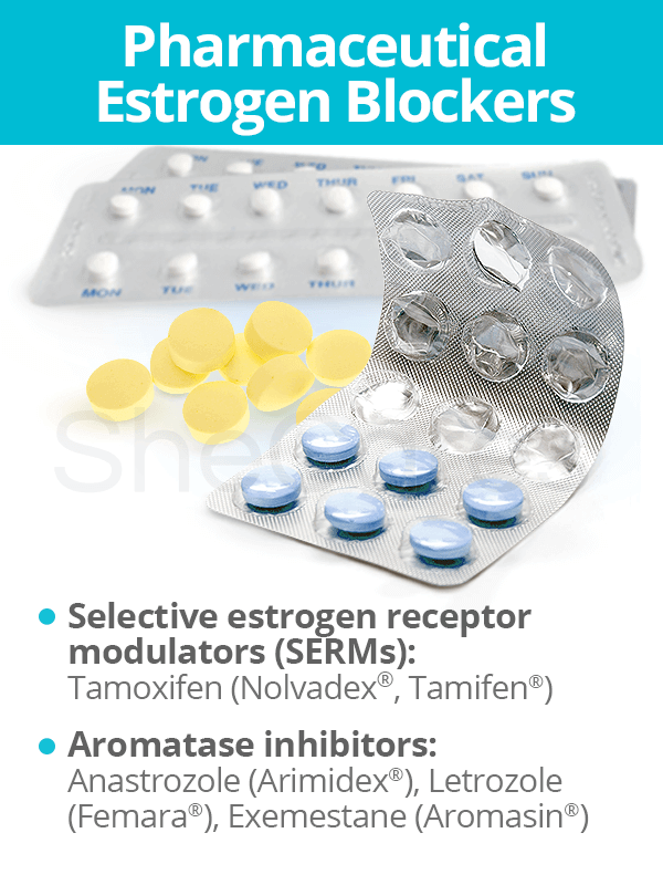 Pharmaceutical Estrogen Blockers