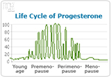 life cycle of Progesterone