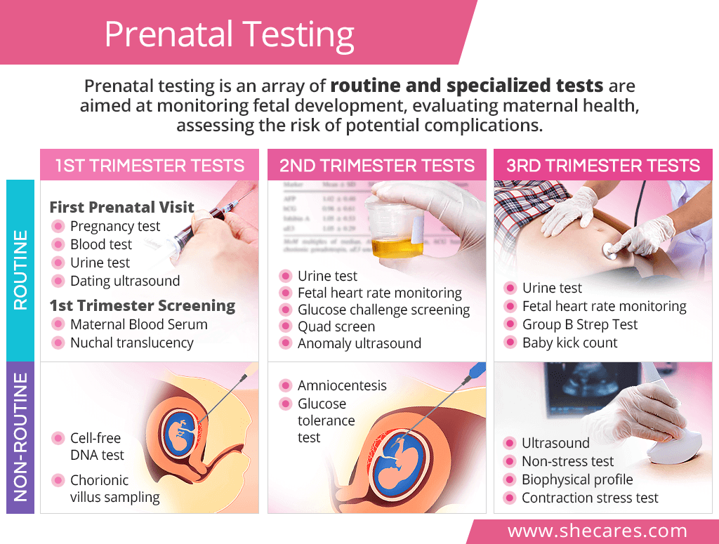 first prenatal visit urine tests