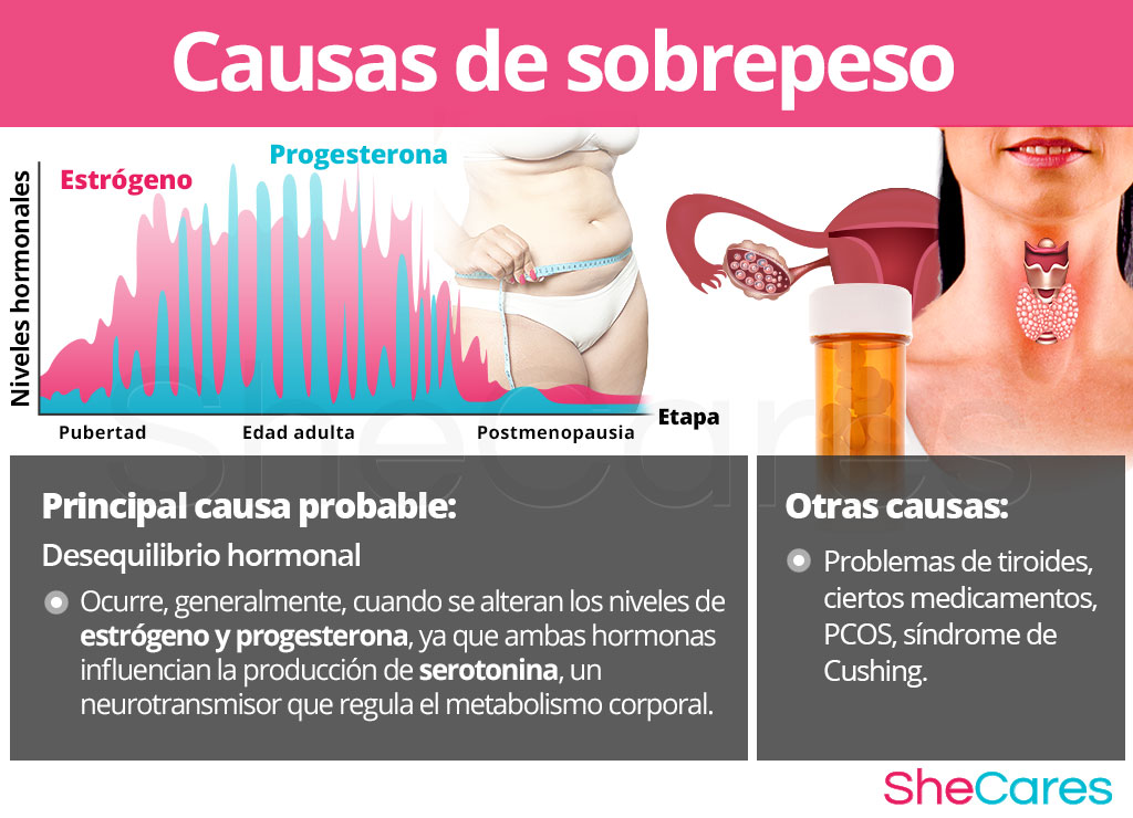 Causas del sobrepeso