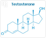 Testosterone