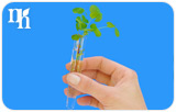 What Is the Difference between Natural and Synthetic Hormones?