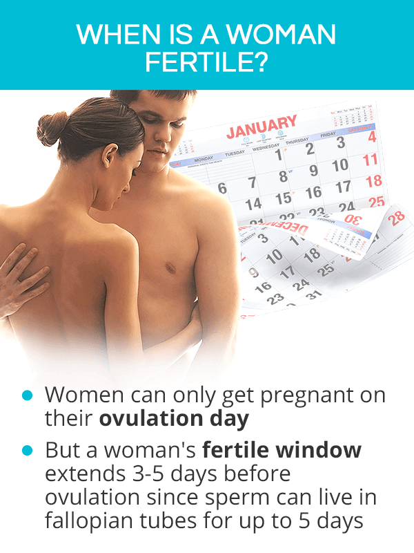 When is a Woman Fertile?