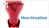 Menstruation