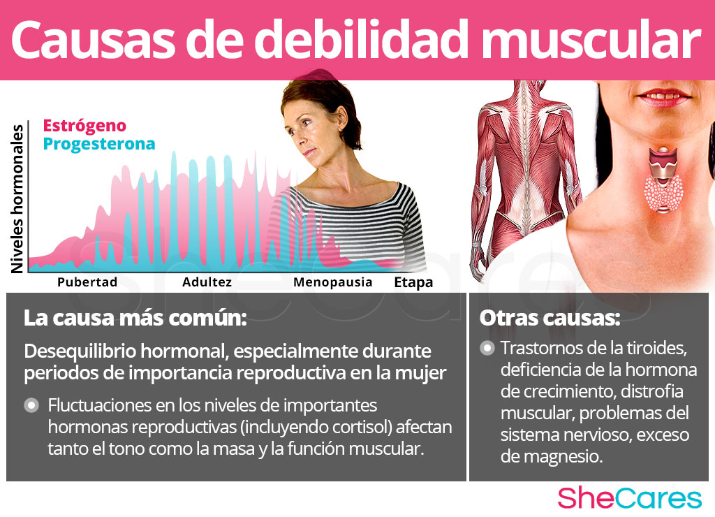 Como ganar masa muscular en la menopausia