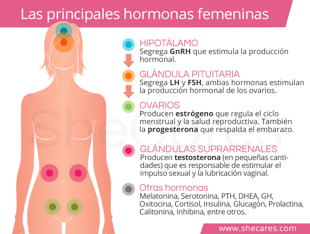 Hormonas naturales