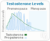 As women age, their bodies produce less testosterone