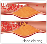 Blood clotting