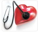 estrogen heart