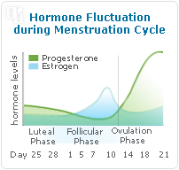 Hormone fluctuation during menstrual cycle