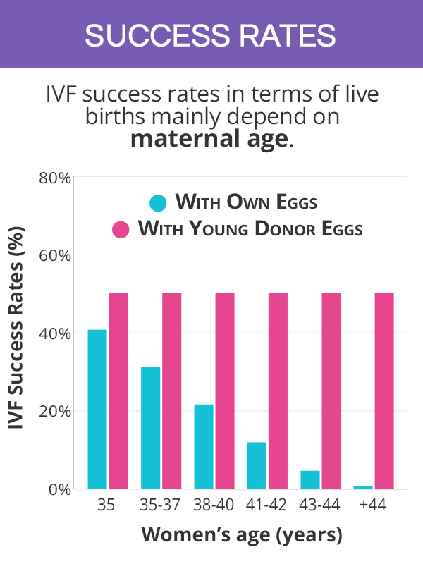 IVF success rates