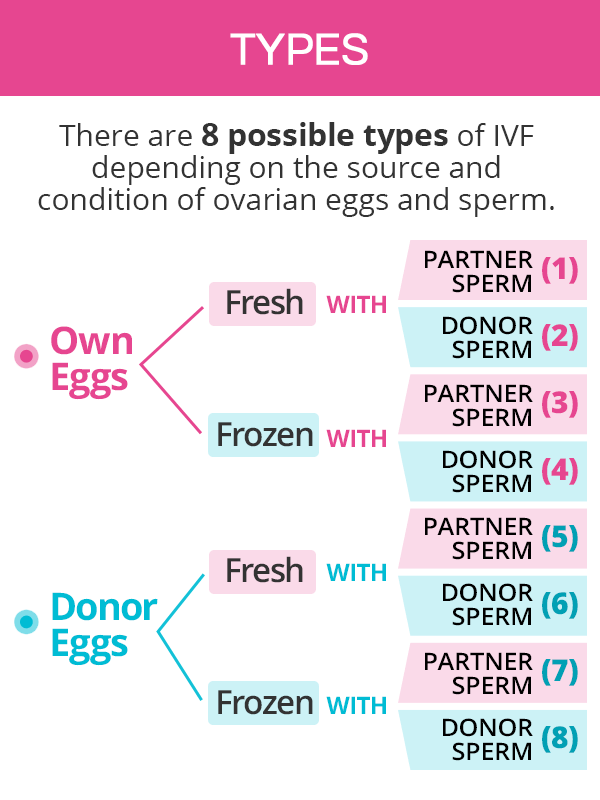 Types of IVF