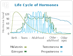 Low testosterone means