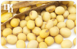 Can Soy Be Used to Balance My Progesterone Levels?