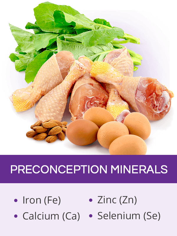 Preconception minerals