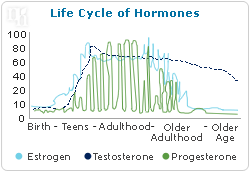 Life cycle of hormones