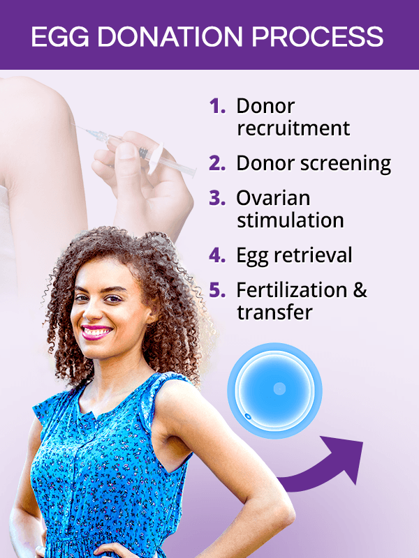 Egg donation process