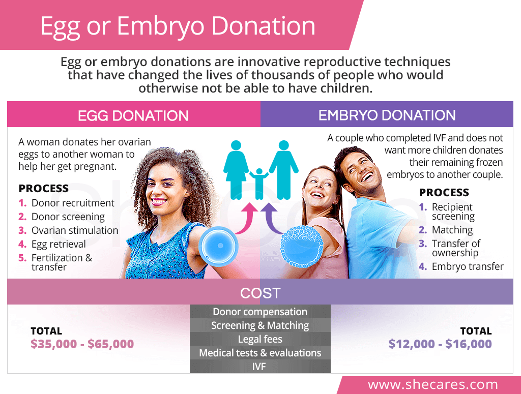 Egg or embryo donation