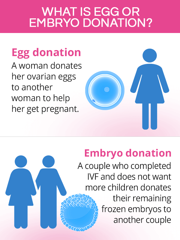 What is egg or embryo donation