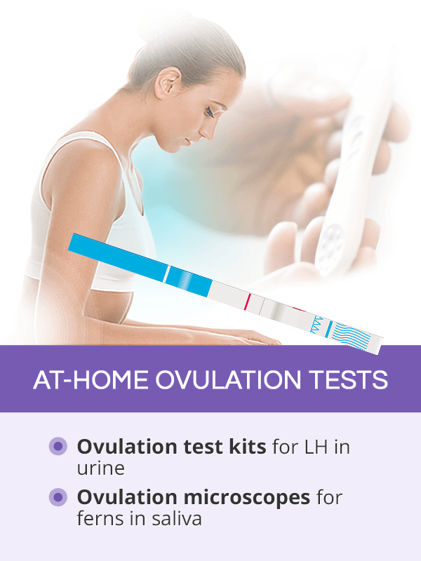 Home Ovulation Tests