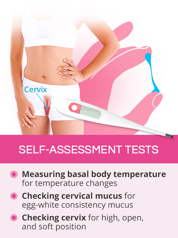 Ovulation Checker