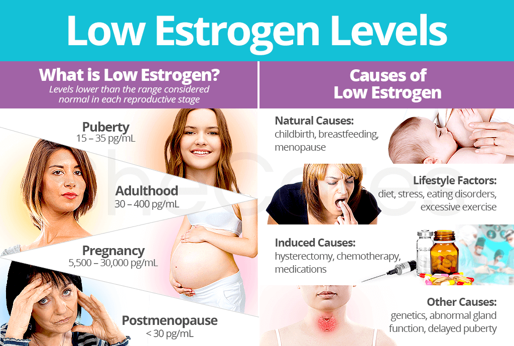 Low Estrogen Levels: About & Causes
