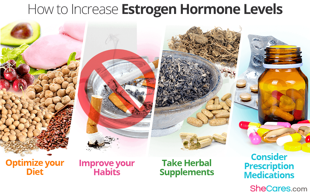 How To Increase Estrogen Hormone Levels SheCares