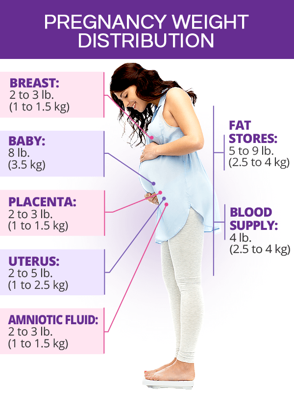 Pregnancy weight distribution