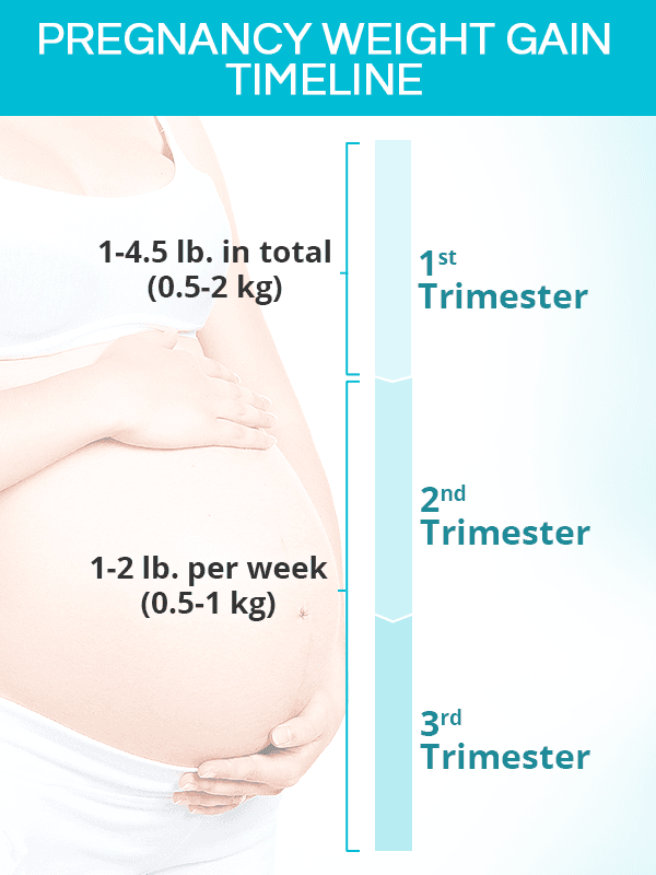 Pregnancy weight gain timeline