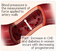 progesterone vascular