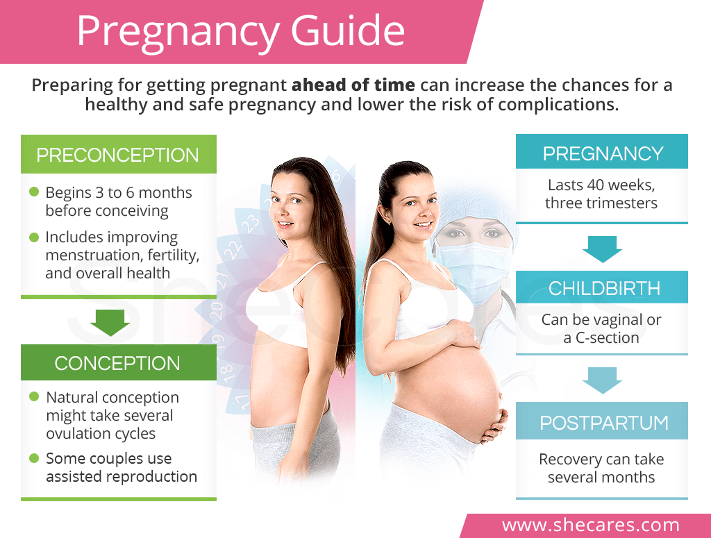 Complete Pregnancy Guide: From Preconception to Postpartum