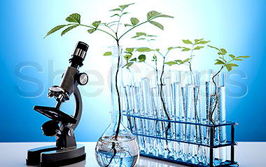 What Does the FDA Say about Bioidentical Hormones?