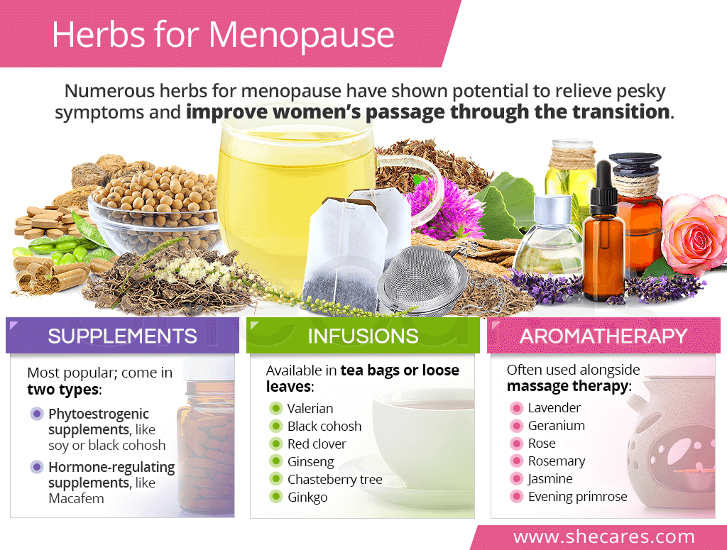 Herbs For Menopause Herbal Supplements Remedies SheCares