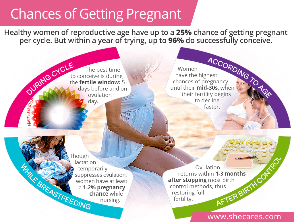 Chances Of Getting Pregnant SheCares