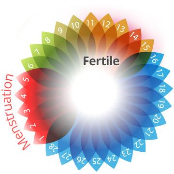 Chances of Getting Pregnant in a Cycle