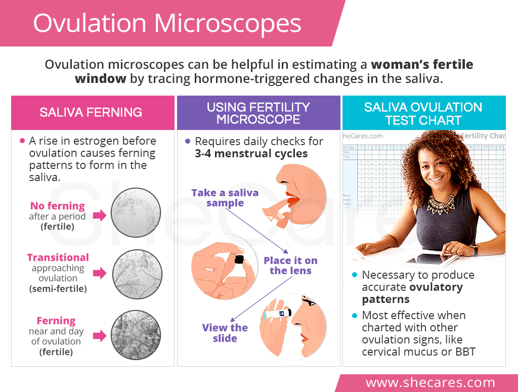 Ovulation Microscopes