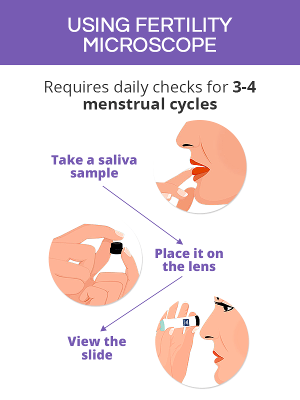 Fertility microscope