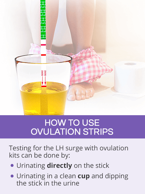 How to Use Ovulation Strips
