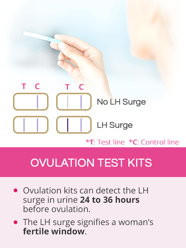Ovulation Test Kit