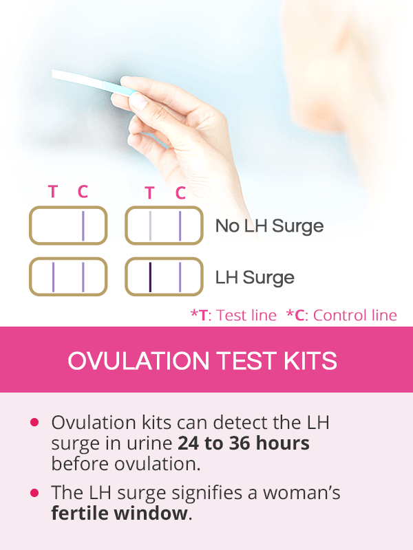 Ovulation Test Strips: How to Use Them to Detect Fertility