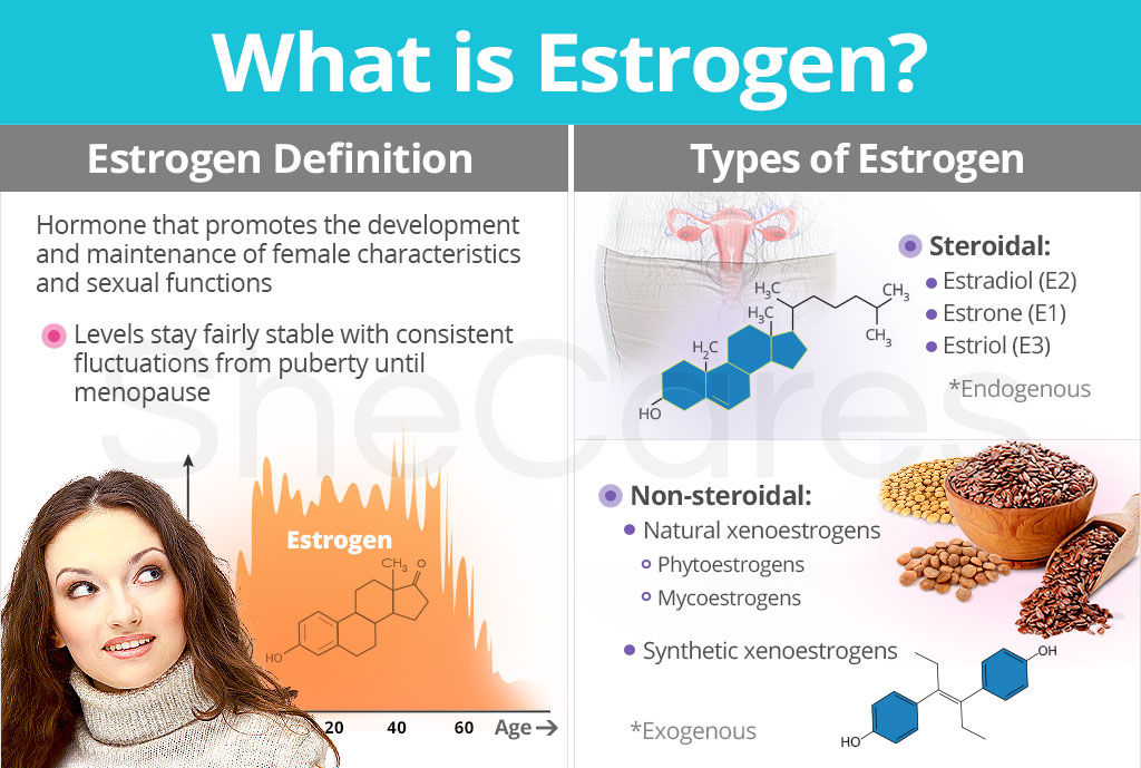 What is Estrogen: Definition and Types
