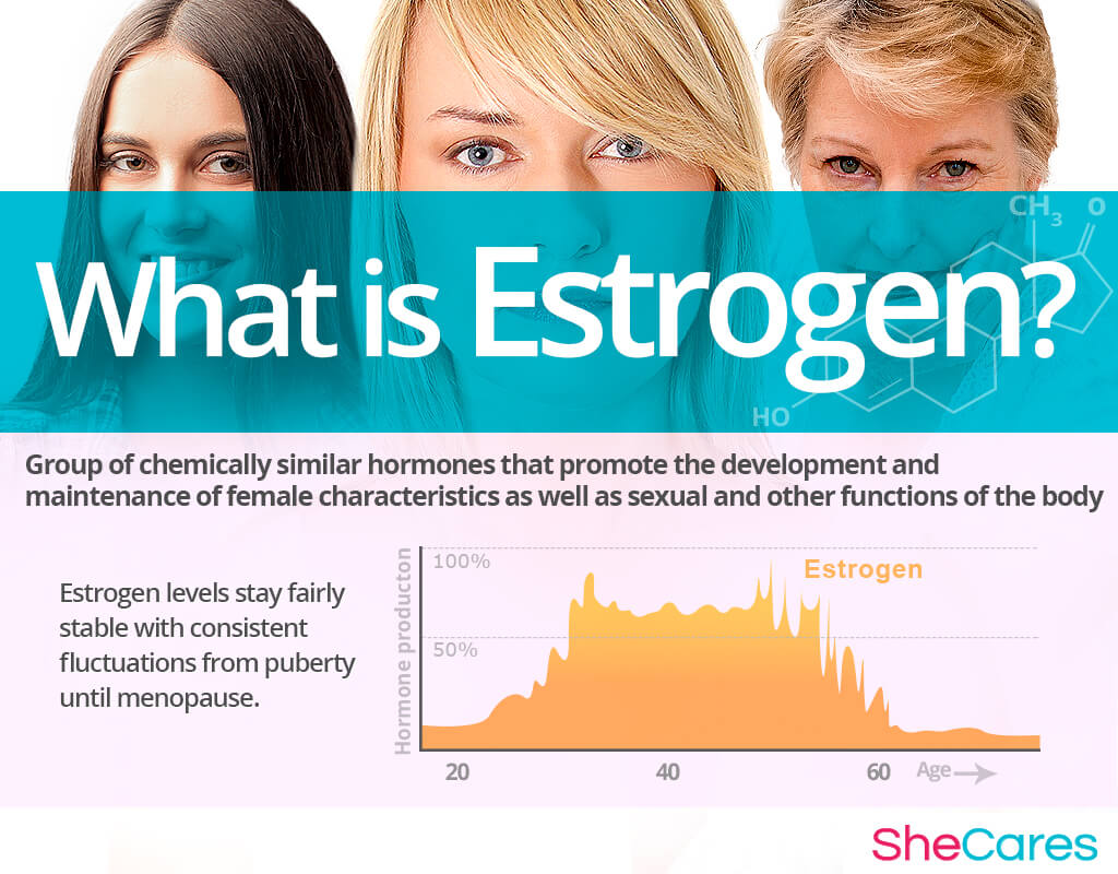 What Is Estrogen